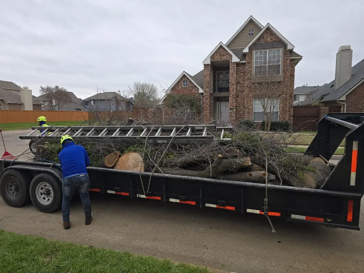 Expert Tree Removal with proper safety equipment in Milledgeville